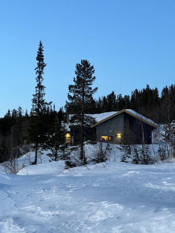 Brand New Cabin On The Sunny Side Of Gaustatoppen With A Great View Tuddal Экстерьер фото