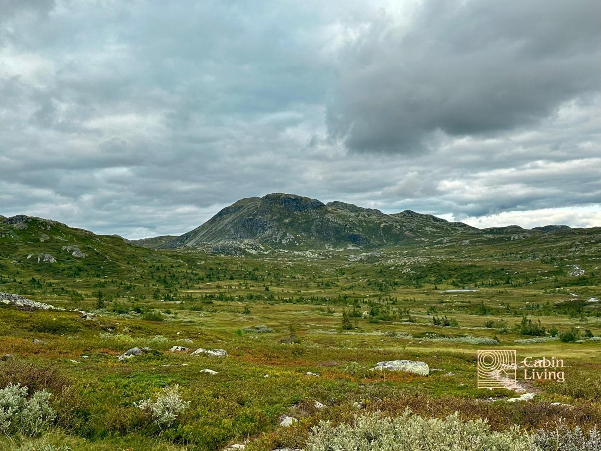 Brand New Cabin On The Sunny Side Of Gaustatoppen With A Great View Tuddal Экстерьер фото