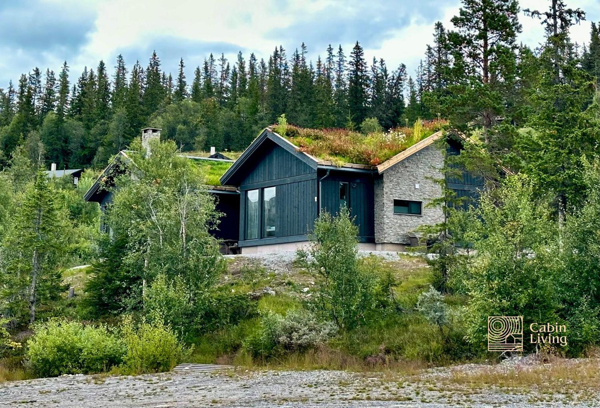 Brand New Cabin On The Sunny Side Of Gaustatoppen With A Great View Tuddal Экстерьер фото